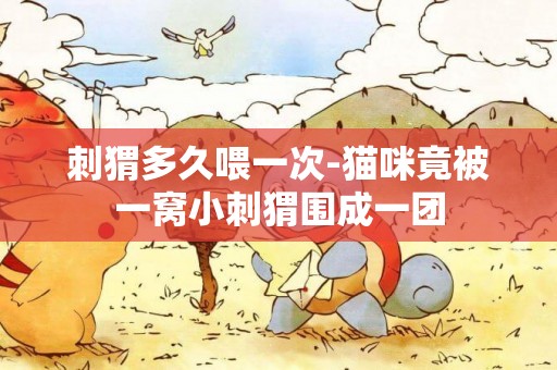刺猬多久喂一次-貓咪竟被一窩小刺猬圍成一團