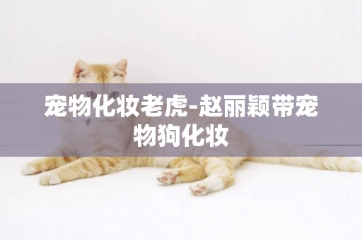 寵物化妝老虎-趙麗穎帶寵物狗化妝