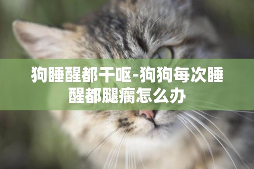 狗睡醒都干嘔-狗狗每次睡醒都腿瘸怎么辦