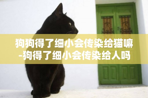 狗狗得了細小會傳染給貓嘛-狗得了細小會傳染給人嗎