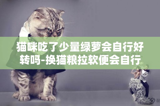 貓咪吃了少量綠蘿會自行好轉嗎-換貓糧拉軟便會自行好轉嗎