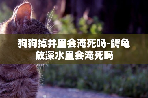 狗狗掉井里會淹死嗎-鱷龜放深水里會淹死嗎