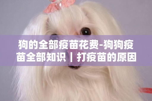 狗的全部疫苗花費-狗狗疫苗全部知識｜打疫苗的原因跟注意事項