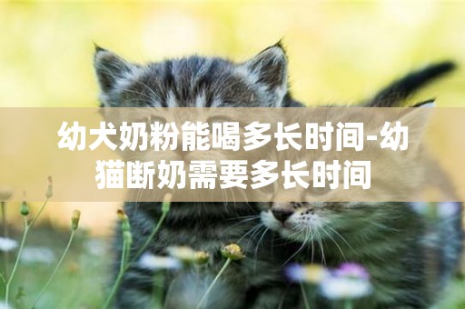 幼犬奶粉能喝多長時間-幼貓斷奶需要多長時間