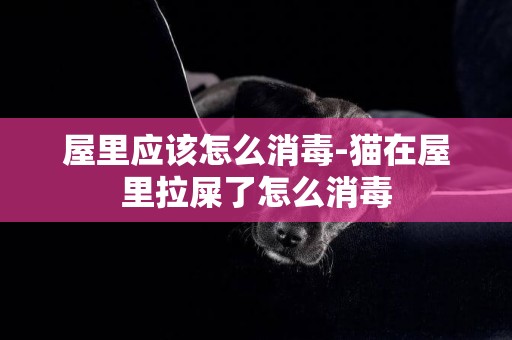 屋里應該怎么消毒-貓在屋里拉屎了怎么消毒