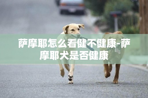 薩摩耶怎么看健不健康-薩摩耶犬是否健康