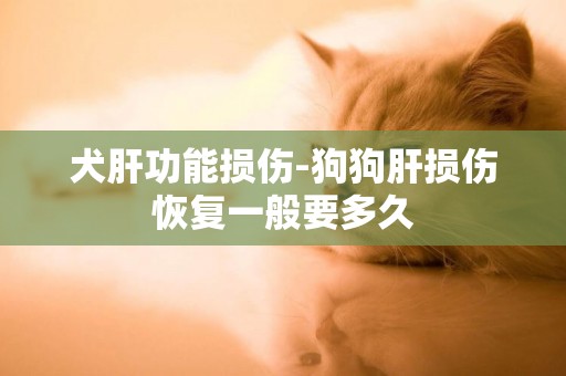 犬肝功能損傷-狗狗肝損傷恢復一般要多久