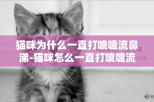 貓咪為什么一直打噴嚏流鼻涕-貓咪怎么一直打噴嚏流鼻涕