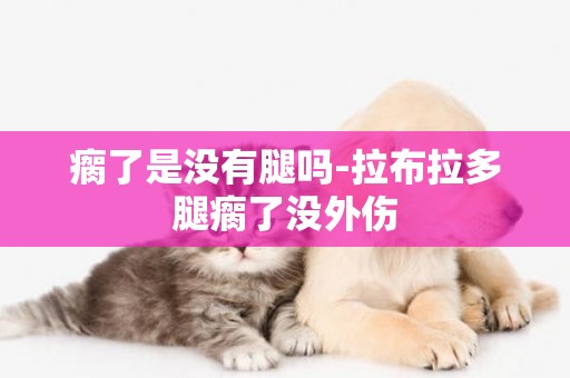 瘸了是沒有腿嗎-拉布拉多腿瘸了沒外傷