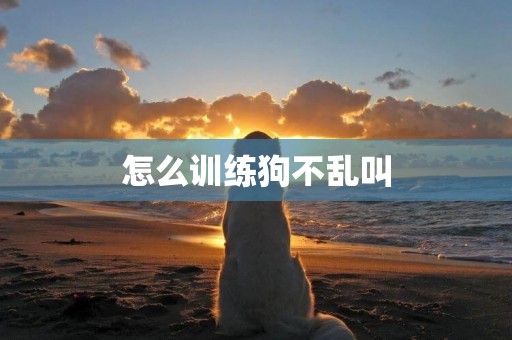 怎么訓練狗不亂叫
