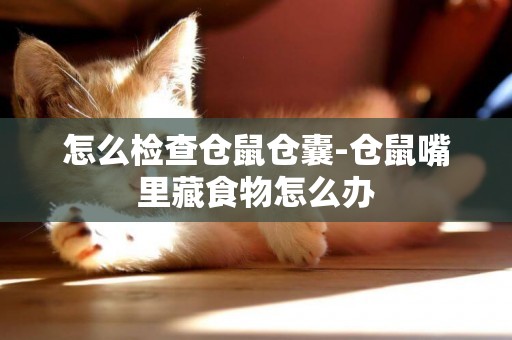怎么檢查倉鼠倉囊-倉鼠嘴里藏食物怎么辦