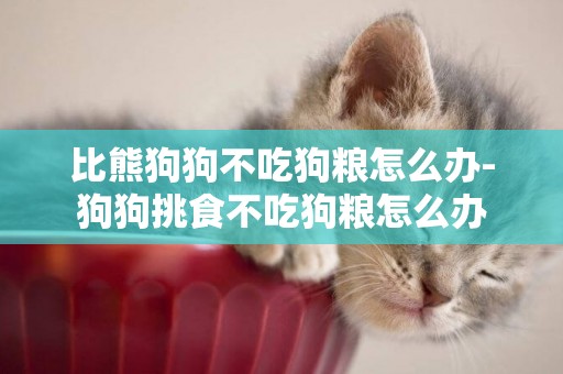 比熊狗狗不吃狗糧怎么辦-狗狗挑食不吃狗糧怎么辦