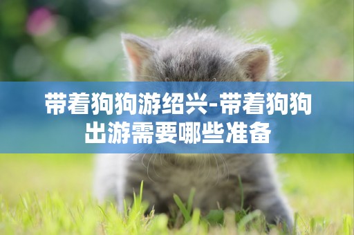 帶著狗狗游紹興-帶著狗狗出游需要哪些準備