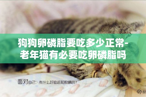 狗狗卵磷脂要吃多少正常-老年貓有必要吃卵磷脂嗎