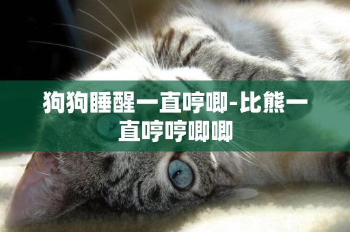 狗狗睡醒一直哼唧-比熊一直哼哼唧唧
