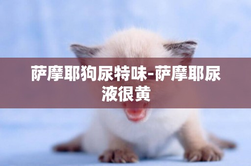 薩摩耶狗尿特味-薩摩耶尿液很黃