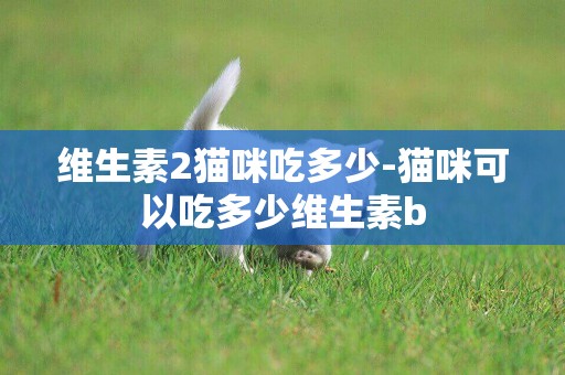 維生素2貓咪吃多少-貓咪可以吃多少維生素b