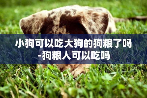 小狗可以吃大狗的狗糧了嗎-狗糧人可以吃嗎