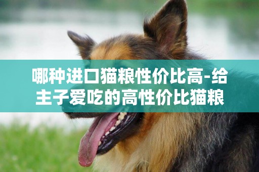 哪種進口貓糧性價比高-給主子愛吃的高性價比貓糧