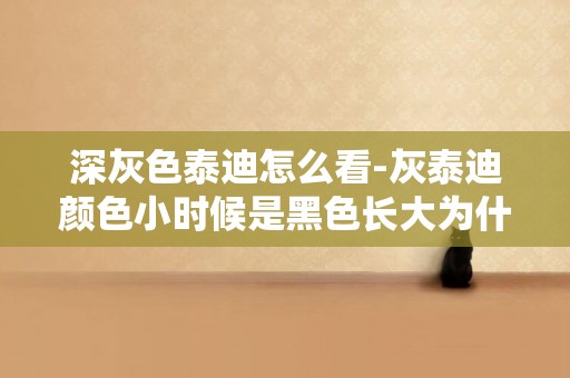 深灰色泰迪怎么看-灰泰迪顏色小時候是黑色長大為什么就變成灰色了