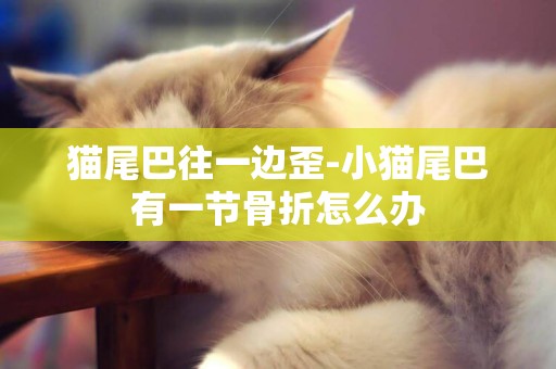 貓尾巴往一邊歪-小貓尾巴有一節骨折怎么辦