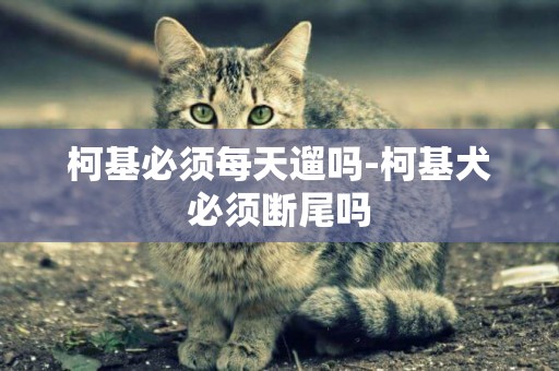 柯基必須每天遛嗎-柯基犬必須斷尾嗎