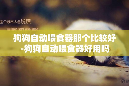 狗狗自動喂食器那個比較好-狗狗自動喂食器好用嗎