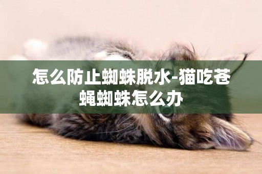怎么防止蜘蛛脫水-貓吃蒼蠅蜘蛛怎么辦