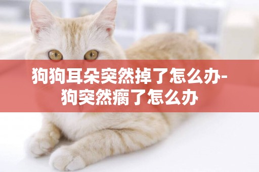狗狗耳朵突然掉了怎么辦-狗突然瘸了怎么辦