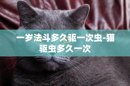 一歲法斗多久驅一次蟲-貓驅蟲多久一次