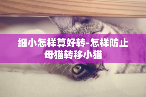 細小怎樣算好轉-怎樣防止母貓轉移小貓