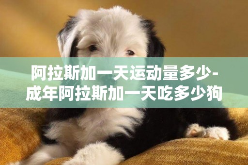 阿拉斯加一天運動量多少-成年阿拉斯加一天吃多少狗糧
