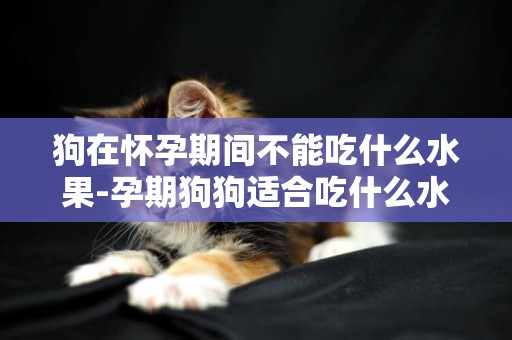 狗在懷孕期間不能吃什么水果-孕期狗狗適合吃什么水果