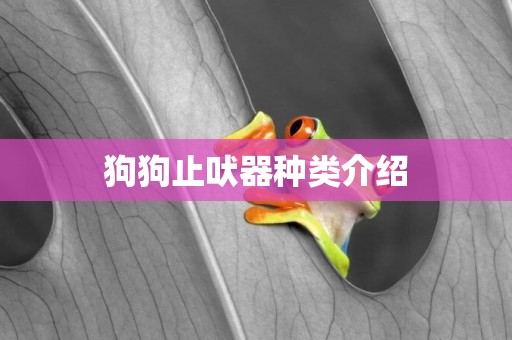 狗狗止吠器種類介紹