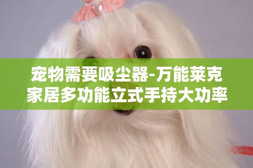 寵物需要吸塵器-萬能萊克家居多功能立式手持大功率吸塵除螨拖地專用吸塵器