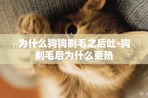 為什么狗狗剃毛之后吐-狗剃毛后為什么更熱