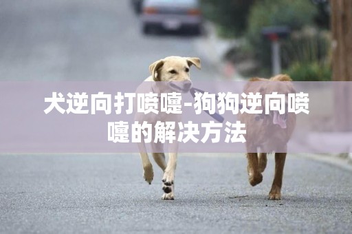 犬逆向打噴嚏-狗狗逆向噴嚏的解決方法