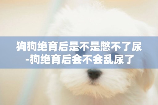 狗狗絕育后是不是憋不了尿-狗絕育后會不會亂尿了