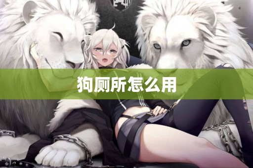 狗廁所怎么用