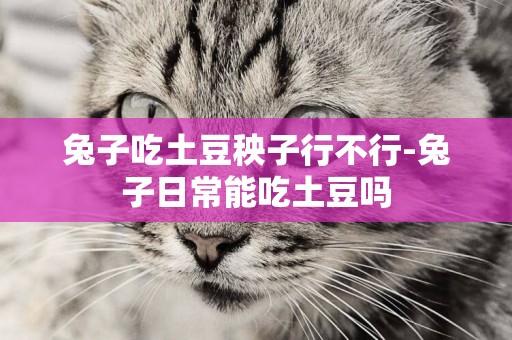 兔子吃土豆秧子行不行-兔子日常能吃土豆嗎