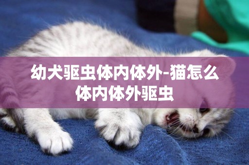 幼犬驅蟲體內體外-貓怎么體內體外驅蟲
