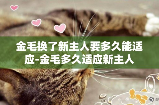 金毛換了新主人要多久能適應-金毛多久適應新主人