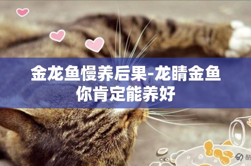 金龍魚慢養后果-龍睛金魚你肯定能養好
