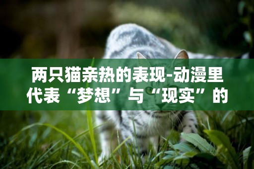 兩只貓親熱的表現-動漫里代表“夢想”與“現實”的兩只貓