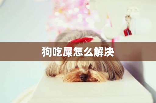 狗吃屎怎么解決