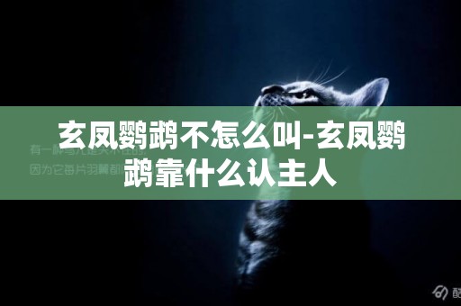 玄鳳鸚鵡不怎么叫-玄鳳鸚鵡靠什么認主人