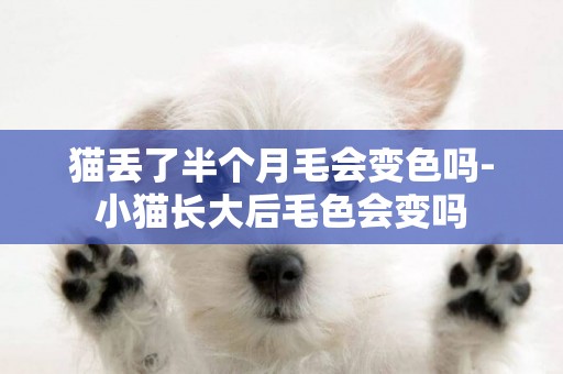 貓丟了半個月毛會變色嗎-小貓長大后毛色會變嗎