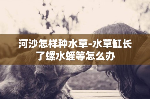 河沙怎樣種水草-水草缸長了螺水蛭等怎么辦