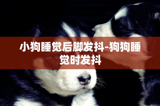 小狗睡覺后腳發抖-狗狗睡覺時發抖