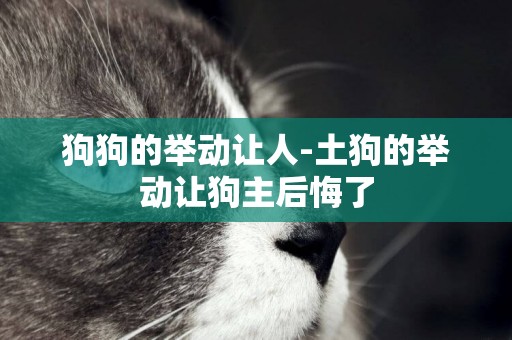 狗狗的舉動讓人-土狗的舉動讓狗主后悔了